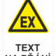 Bezpečnostní výstražná tabulka na přání - Symbol s textem na přání: Exploze