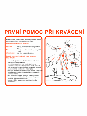 Pravidla první pomoci - První pomoc při krvácení