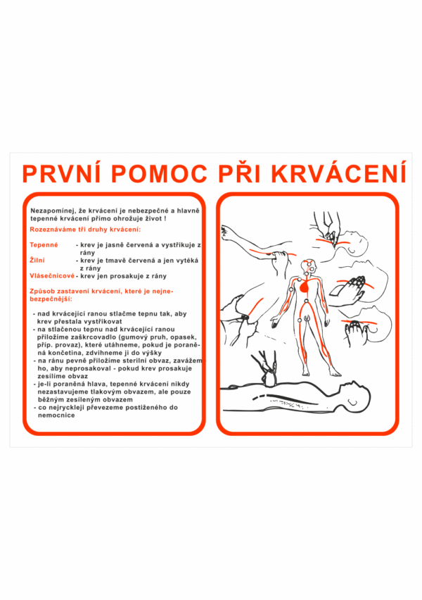 Pravidla první pomoci - První pomoc při krvácení