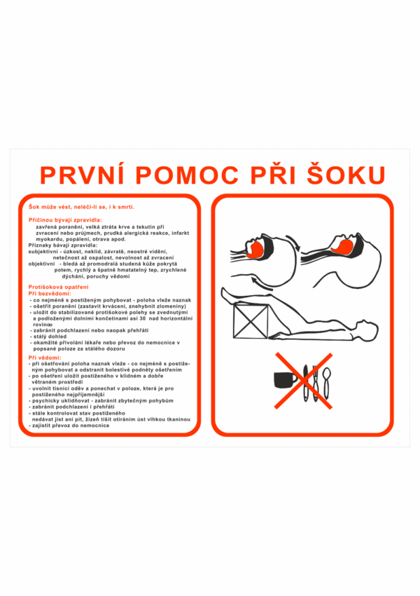 Pravidla první pomoci - První pomoc při šoku