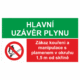 Bezpečnostní kombinovaná tabulka: Hlavní uzávěr plynu - Zákaz manipulace s plamenem v okruhu 1,5m od skříně
