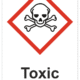 Značení nebezpečných látek a obalů - Symboly GHS s textem: "Toxic"