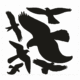Značení budov - Značení prosklených ploch: Siluety ptáků (6 kusů)